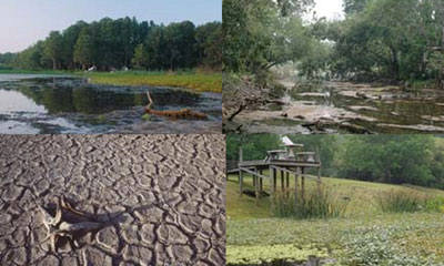 drought collage